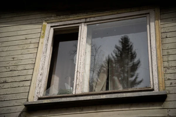 Vidro Janela Uma Antiga Casa Abandonada Foi Cultivado Grande Abeto — Fotografia de Stock