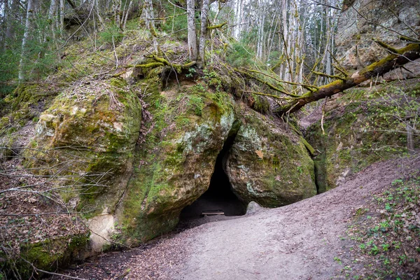 Homokkő Egy Kis Barlanggal Sziklát Zöld Moha Fák Borítják — Stock Fotó
