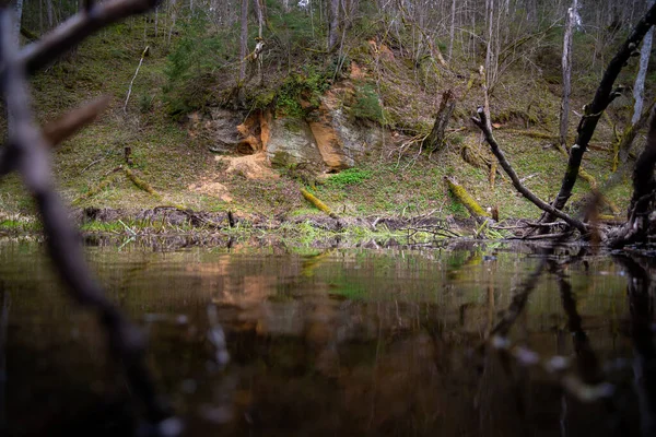 Sandstone cliff by a forest river. Low shooting angle at river water with reflection in it. Dead trees have broken on the shore. Nature landscape