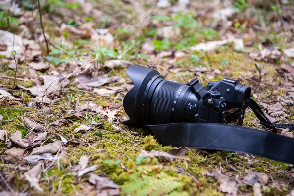 Close-up of a professional camera in the forest on green mosses and autumn leaves. Blurred background. Macro photography