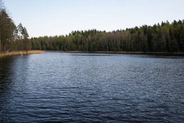 Yaz gölü su yüzeyi düşük perspektiften soyutlanır. Kabarcıklar ve yemeklerle.