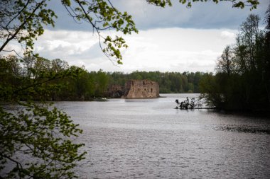 Eski kalenin manzarası. Nehirdeki harabeler yeşil ağaçlarla çevrili bir ormanın yanında. Bulutlu yaz günü.