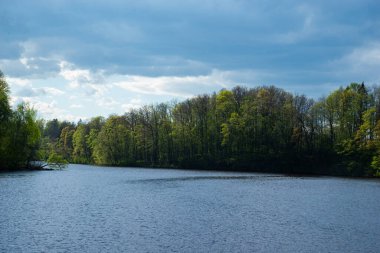 Orman manzarası. Göl kenarındaki yeşil orman Mavi su ve mavi bulutlu gökyüzü