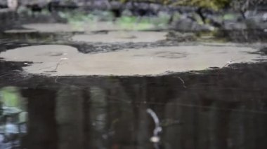 İçilebilir su kaynağının doğada fışkırması hakkında soyut bir bakış açısı. Doğal kristal berrak su yeraltından gelir ve kumu kaynatır. Doğada kaynamış kum, saf su akıntısı.