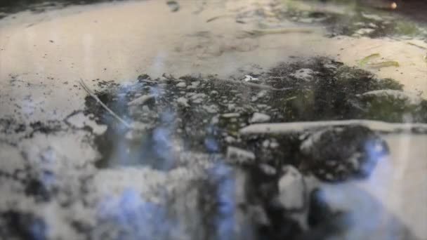 Vista Abstrata Fonte Água Potável Erupção Natureza Água Cristalina Natural — Vídeo de Stock