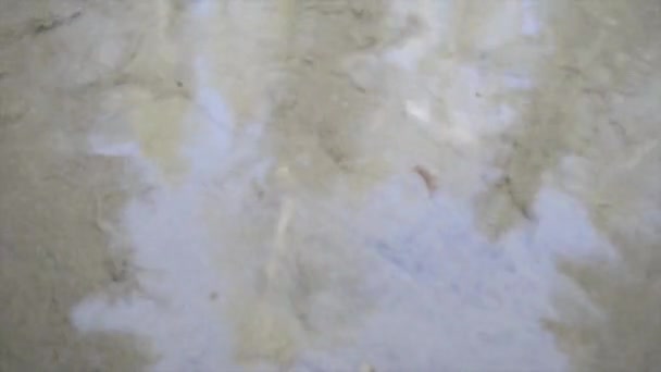可饮用的自然喷发淡水源的摘要 天然晶体清澈的水来自地下 使沙子沸腾 自然中沸腾的清澈的流沙 — 图库视频影像