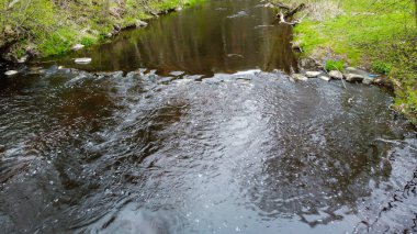 Ormanda mavi suyu ve akıntısı olan bir nehir. Sahilde yeşil çimenler ve büyük kayalar.