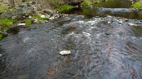 Řeka Modrou Vodou Peřejemi Lese Zelená Tráva Velké Balvany Břehu — Stock fotografie