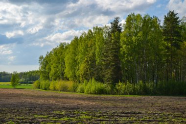 Green flowering deciduous forest landscape with plowed agricultural field under blue cloudy sky.