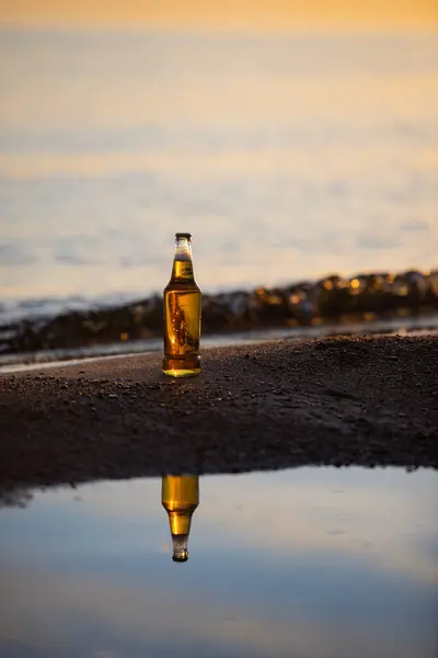 Avrupa Birası Letonya Yaz Ortası Gününden Önce Deniz Kenarında Altın — Stok fotoğraf