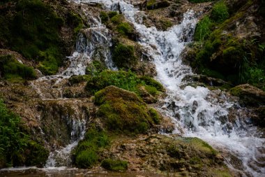 Hızla akan su ve kayalarla dolu güzel bir dağ yağmur ormanı şelalesi. Güneş doğarken doğal olarak arka planda seyahat edilir.