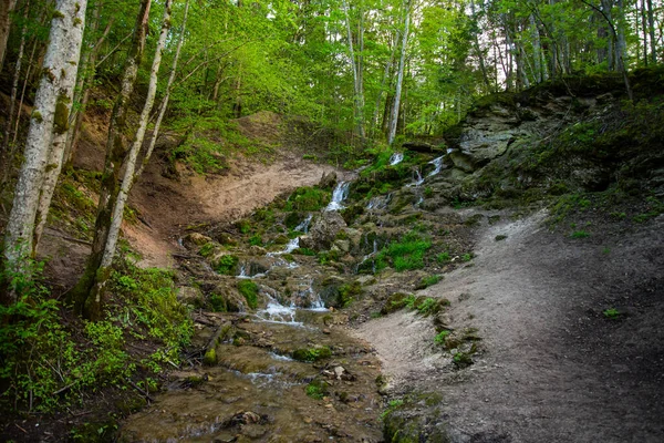 Waterfall Deep Forest Scene — Stock Photo, Image