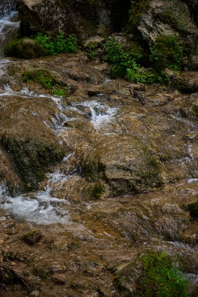 Skalní Kameny Lese Přes Které Teče Průzračná Lesní Říční Voda — Stock fotografie