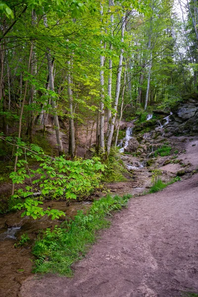 Hermosa Cascada Bosque Lluvioso Montaña Con Agua Flujo Rápido Rocas — Foto de Stock