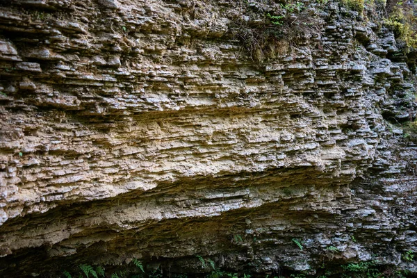 Primer Plano Acantilado Piedra Caliza Cañón Herradura Grietas Nekarot Cráter —  Fotos de Stock