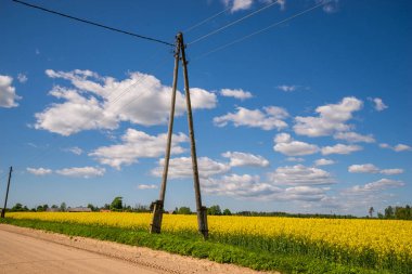 Kum tanesi tarlasının kenarındaki ahşap elektrik direği güneşli bir yaz gününde kümülüs bulutlarıyla mavi gökyüzünün altında kumlu bir kır yolunun yanında..