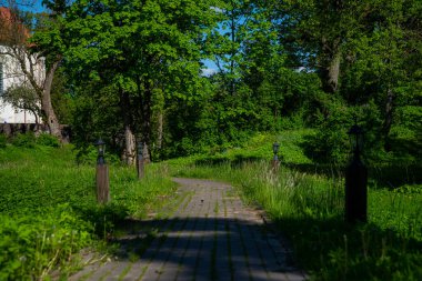 Parkta yeşil ağaçlar ve yeşil çimenler üzerinde metal fenerler olan bir patika..