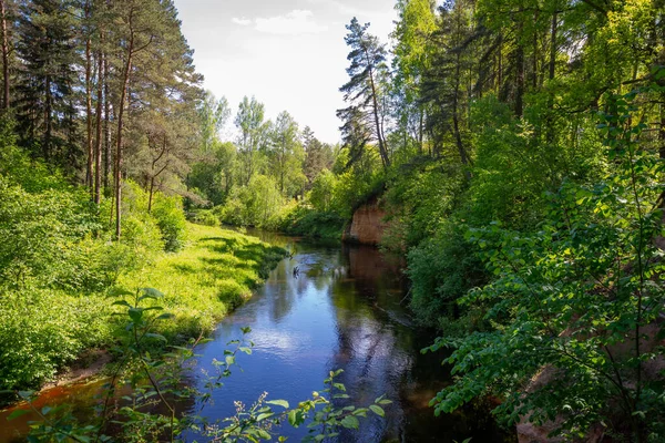 Pohled Horskou Řeku Létě Obklopenou Lesními Pískovcovými Útesy — Stock fotografie