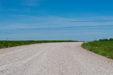 Yazın kırsal alanda toprak yol.