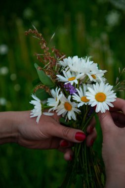 Şenlikli bir çiçek çelengi yapmak, çiçek çemberi, güneşli bir öğleden sonra festival çiçeklerinden bir taç yapmak. Yaz ortası gece festivali ya da bekarlığa veda partisi için hazırlanıyorum. Çiçek Taç Nasıl Yapılır