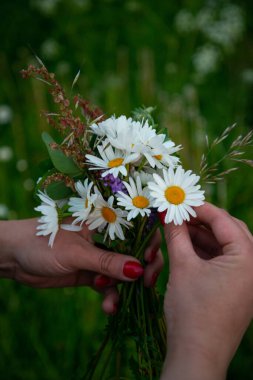 Şenlikli bir çiçek çelengi yapmak, çiçek çemberi, güneşli bir öğleden sonra festival çiçeklerinden bir taç yapmak. Yaz ortası gece festivali ya da bekarlığa veda partisi için hazırlanıyorum. Çiçek Taç Nasıl Yapılır