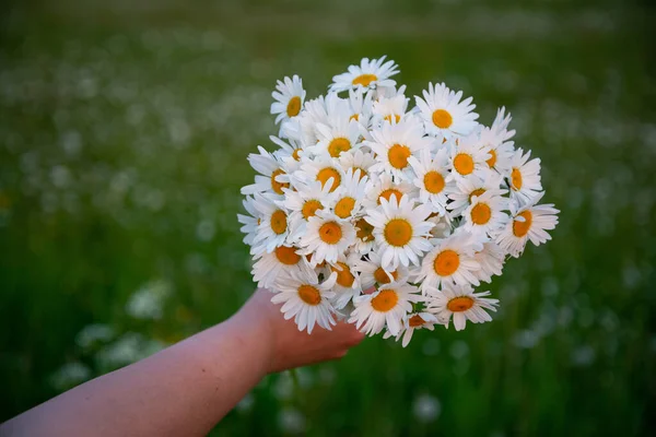 Self Made Corona Fiore Mezza Estate Fiori Diversi — Foto Stock