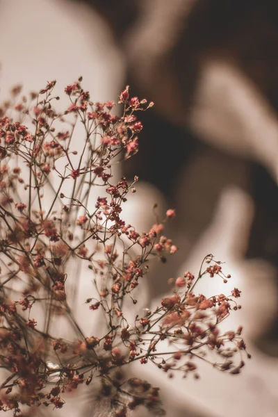 Focus Selettivo Sui Fiori Estivi Rosa Vaso Vetro Tavolo Bianco — Foto Stock