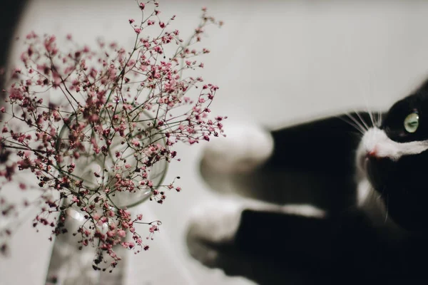 Enfoque Selectivo Flores Rosadas Verano Jarrón Vidrio Sobre Una Mesa —  Fotos de Stock