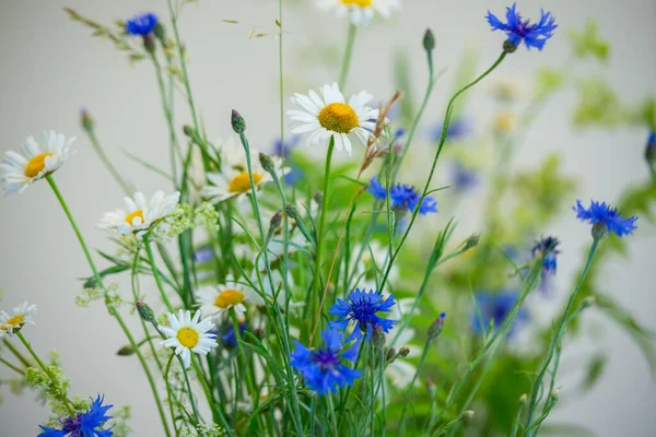 Zomer Bloemen Een Vaas Witte Madeliefjes Blauwe Korenbloemen Een Vaas — Stockfoto