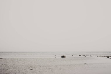 Deniz manzaralı güzel yaz manzarası bulutlu gökyüzü Hiiumaa, Estonya