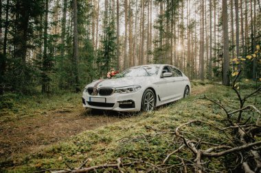 Riga, Letonya - 6 Ekim 2018: Sakin bir ormanda park etmiş çiçeklerle süslenmiş şık beyaz sedan. Düğün ulaşımı, romantizm temaları, açık hava törenleri, özel yaşam tarzı ve varış noktası kavramları için mükemmel bir görsel..