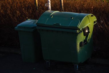 Ventspils, Letonya - 5 Mart 2026: Büyük yeşil atık konteynırı ve daha küçük çöp tenekesi sıcak akşam ışığında bitki örtüsünün yakınına yerleştirildi. Geri dönüşüm, çöp toplama, çevre sorumluluğunu gösteren kentsel atık yönetimi altyapısı