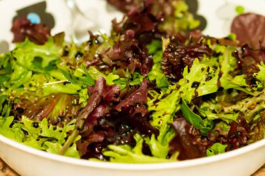 Çeşitli renklerde marul salatası, konsept gastronomi.