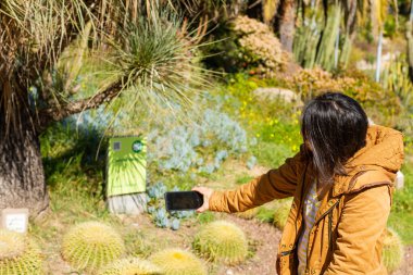 Botanik bahçesinde cep telefonlu bir kız kaktüsün resmini çekiyor, botanik konsepti.