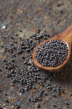 Esmer Hardal Tohumları desenli bir arka planda 