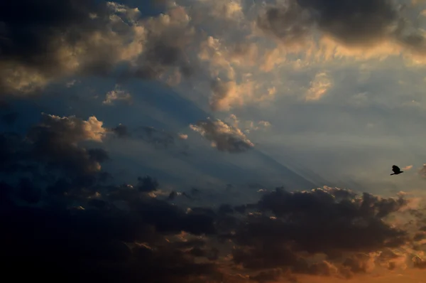 Bellissimo cielo con nuvole — Foto Stock