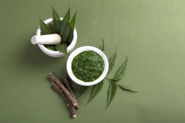 약용 neem 잎 — 스톡 사진