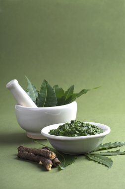 tıbbi neem yaprağı