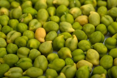 Arka plan olarak taze yeşil nohut (Cicer arietinum). Desi çeşitliliği dağınık nohutlar.