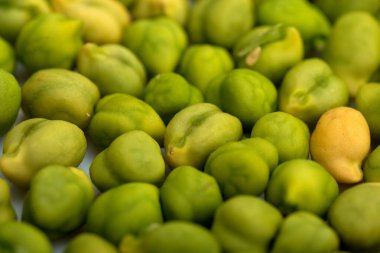 Arka plan olarak taze yeşil nohut (Cicer arietinum). Desi çeşitliliği dağınık nohutlar.