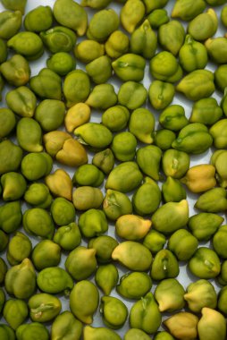 Arka plan olarak taze yeşil nohut (Cicer arietinum). Desi çeşitliliği dağınık nohutlar.