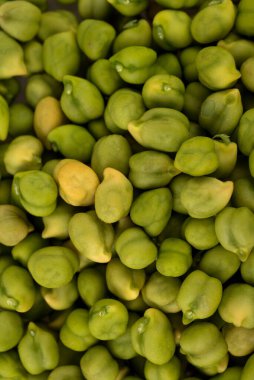 Arka plan olarak taze yeşil nohut (Cicer arietinum). Desi çeşitliliği dağınık nohutlar.