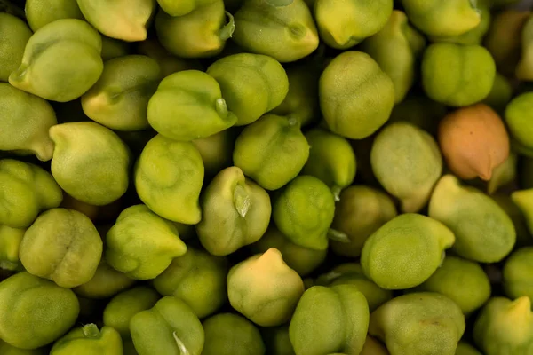 Frisch Grüne Kichererbse Cicer Arietinum Als Hintergrund Desi Sorte Verstreute — Stockfoto