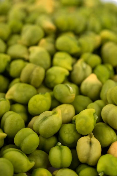 Frisch Grüne Kichererbse Cicer Arietinum Als Hintergrund Desi Sorte Verstreute — Stockfoto