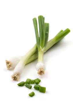 Taze taze taze taze taze taze soğan (soğan veya soğan) ve beyaz arka planda taze doğranmış yeşil soğan.