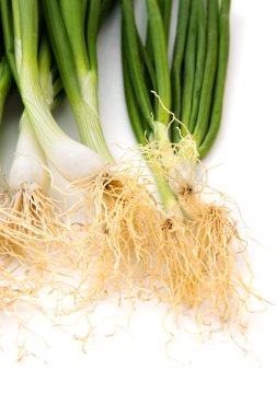 Taze taze taze taze taze taze soğan (soğan ya da soğan) beyaz arka planda