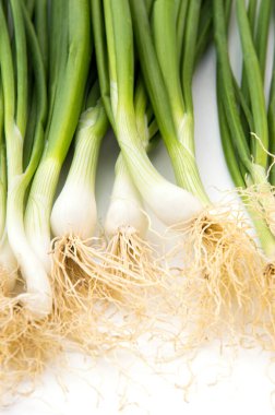 Taze taze taze taze taze taze soğan (soğan ya da soğan) beyaz arka planda