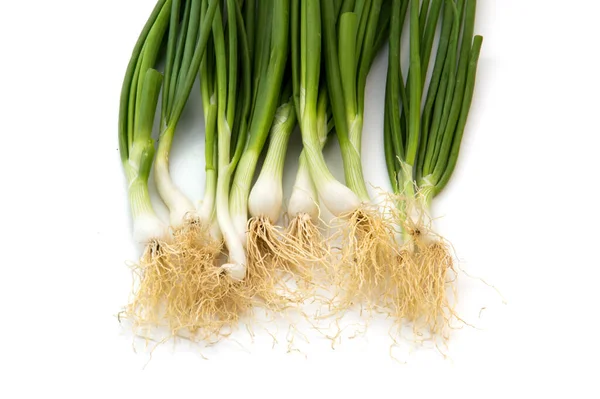 Färska Mogna Gröna Våren Lök Schalottenlök Eller Scallions Vit Bakgrund — Stockfoto