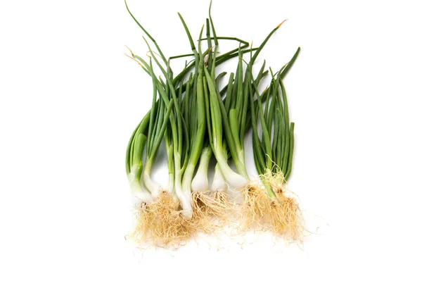 Fresh Ripe Green Spring Onions Shallots Scallions White Background — Stock Photo, Image