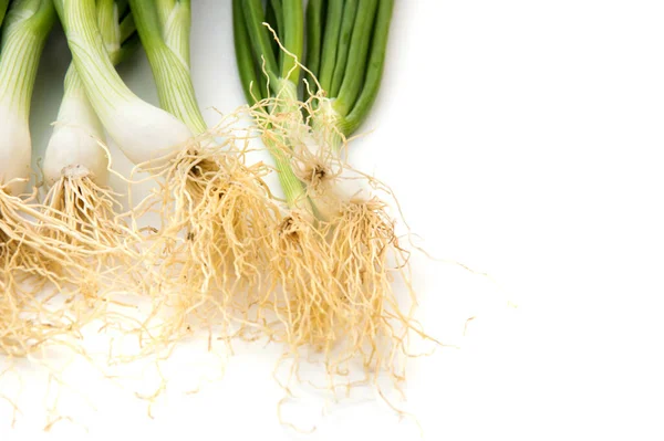 Färska Mogna Gröna Våren Lök Schalottenlök Eller Scallions Vit Bakgrund — Stockfoto